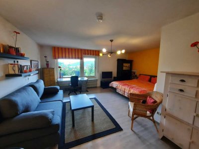 Möblierte 1-Zimmer Wohnung mit Terasse in Waldkirch