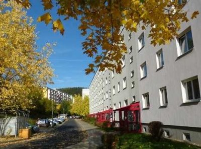 2-Raumwohnung im Grünen