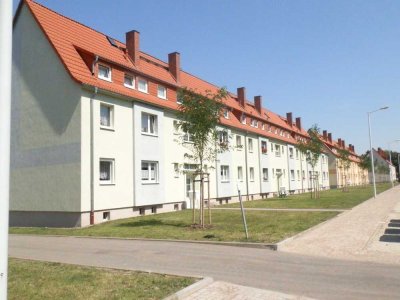 moderne 3-Raum-Wohnung in ruhiger Lage mit viel Grün