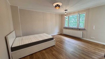 1 Zimmer Appartement in Wiesbaden zu vermieten