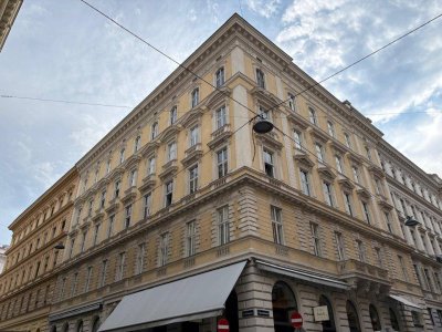 Arbeiten und Wohnen unter eine Dach ! Stilvolle Altbauwohnung ( 5 Zimmer ) mitten im 1. Bezirk Wien