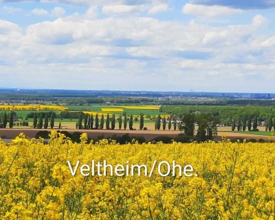 Helle gepflegte 2-Zi.Wohnung in Veltheim/Ohe