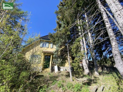 Aus alt mach neu - Historisches Einfamilienhaus in Alleinlage am Hügel in Bad Großpertholz mit großem Garten