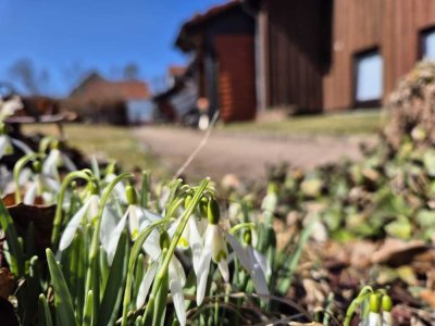 Gemütliches WG-Zimmer in freundlicher Hausgemeinschaft in Clausthal-Zellerfeld