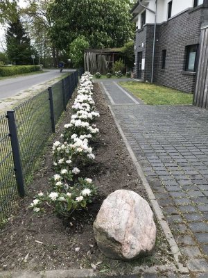 Wohnung in Stadtvilla mit großzügiger Terrasse und Carport im Grünen