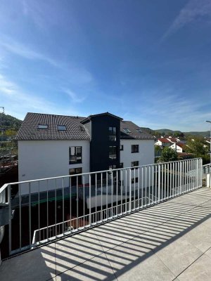 Stilvolle 3-Raum-DG-Wohnung mit luxuriöser Innenausstattung mit EBK in Pfullingen