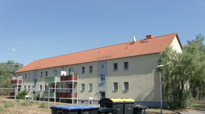 Schöne helle 2 -Raum-Wohnung im Grünen