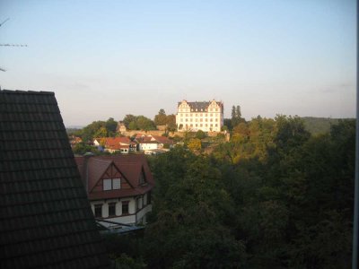 4-Zimmer Wohnung mit Schlossblick in Fischbachtal-Lichtenberg