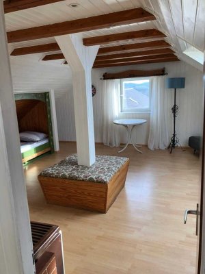 1-Zimmer Wohnung in Wiesloch mit Gartenmitbenutzung