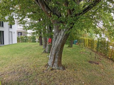 Luxus Gartenwohnung im Steinpark