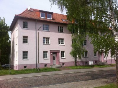 Schöne Wohnung im grünen Eberwalde ideal für  1 - 2 Personen !