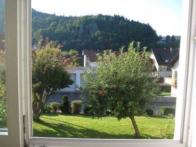Helle teilsanierte 3-Zimmer Wohnung im Hochparterre mit herrlichem Blick auf den Falkenstein