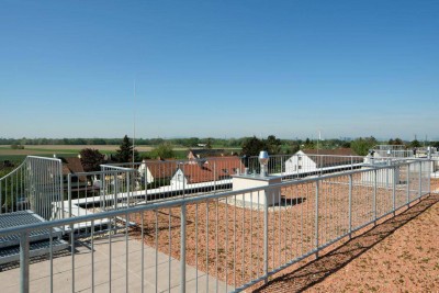 3 Zimmer Dachgeschoßwohnung mit Terrasse T41_Gartenhaus22_