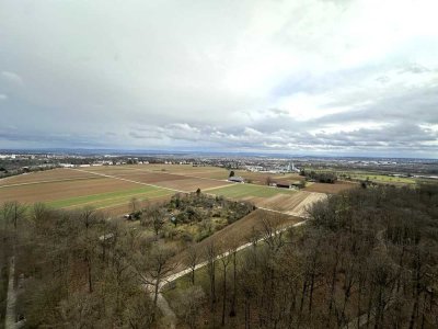 Kernsanierte 2 Zimmer-Wohnung im Asemwald nähe Uni Hohenheim
