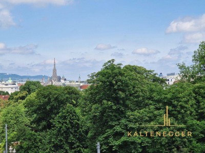 Frisch sanierte, wunderschöne Stadtwohnung mit Blick auf den Stephansdom + Schloss Belvedere!