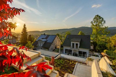 Panoramablick mit Pool, Gartenlandschaft und Weitblick in FR-Littenweiler