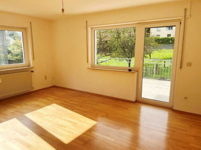 Großes Generationenhaus am Sonnenhang  im Luftkurort Aglasterhausen-Michelbach  mit Bonusgarten