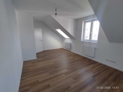 Exklusive Neubau-Dachgeschosswohnung in Ludwigshafen