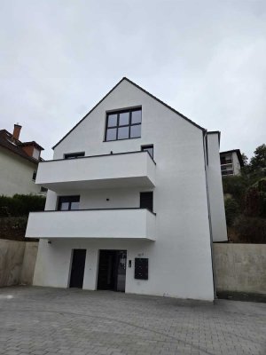 Nachmieter für große Neubau-Dachgeschoss-Wohnung - mit Panoramafensterfront