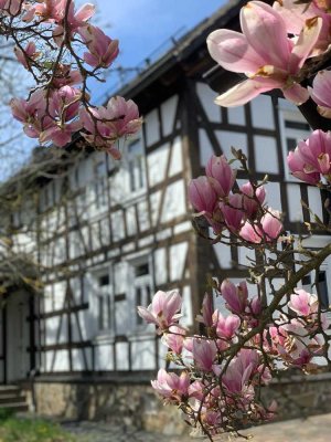Sanierte 4-Zimmer-Doppelhaushälfte mit Einbauküche in Dernbach, Neuwied (Kreis)