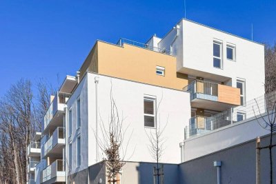 Dachterrassenhit mit spektakulären Ausblick