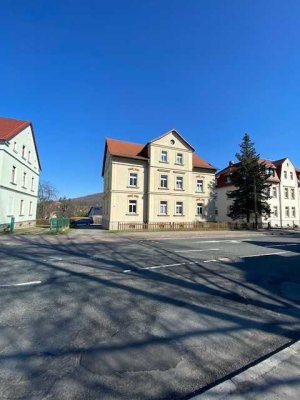 Neu renovierte 3 Raumwohnung