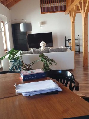 helle Wohnung im Dachgeschoß, auf 2 Ebenen, 2 Zimmer, BBG Bergstadt