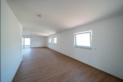 3 Zimmer - Wohnung (Neubau), Dachterrasse mit Begrünung in topmoderner Wohnanlage in Homburg, War...