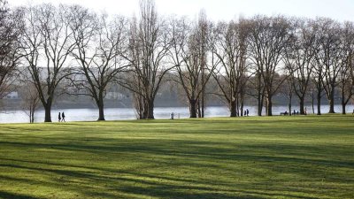 Geschmackvolle, teilmöblierte 2-Raum-Wohnung mit Sonnenterrasse, 400 m vom Rhein entfernt