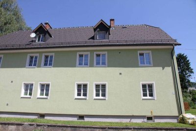 Mietwohnung in Liezen