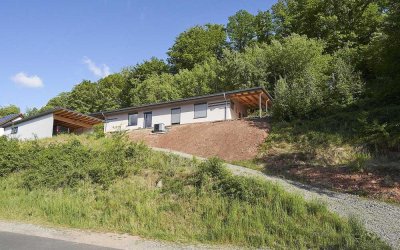 Einfam.-Haus, Top Niedrigenergie + mit Büro / Atelierwohnung