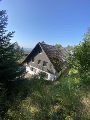 1,5 Zimmer Wohnung am Waldrand