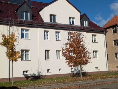 Schöne hochwertige 2 Zi-DG-WE mit Garten, sep. Kü, Wanne+Du, Fußbodenhzg. AR, STP im Ammendorf