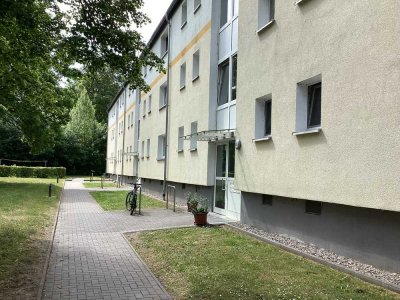 Willkommen Zuhause: sanierte 3-Zimmer-Wohnung mit Balkon, sofort anmietbar!