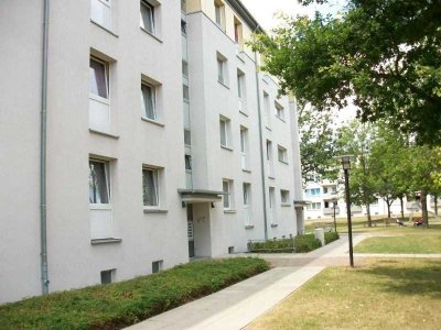 Moderne Erdgeschosswohnung in zentraler Lage