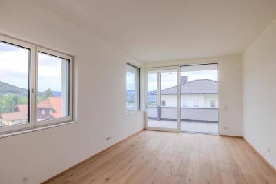 NEU!! - 2 Zimmer Wohnung mit schönem Atterseeblick !!