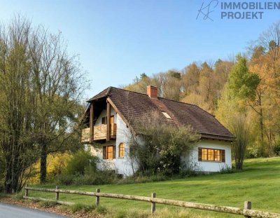 Einfamilienhaus mit Burgblick, großem Grundstück, Kaminofen, 5 Zimmern und Doppelgarage in Toplage
