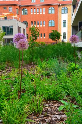 ***Über den Dächern Berlins: Stilvoll leben mit Sauna, Kamin & Sonnenplätzen***