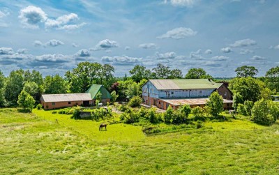 Resthof bei Wilster - Viel Platz für Mensch und Tier
