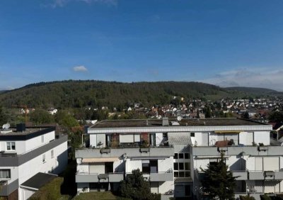 Penthouse Panorama