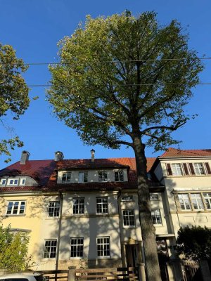 Reserviert  BEZUGSFREI Wohnung 1.OG Stadthaus am Südpark/Steiger-Löbervorstadt
