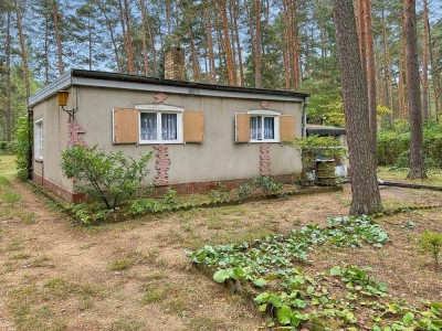 Grüne Idylle - Bungalow auf großem Grundstück von Wald umgeben in Borkheide