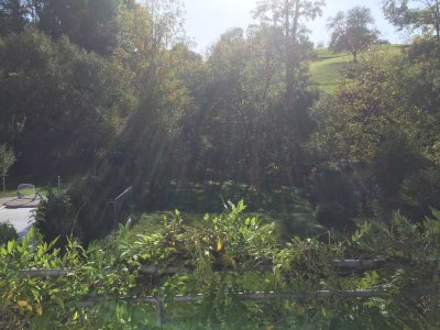 Großes, helles Einfamilienhaus mit Garten in der Nähe der Natur.