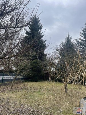 Solides Einfamilienhaus mit Keller im Herzen von Langholzfeld!