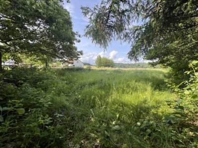 2 Einfamilienhäuser + mehrere Nebengebäude auf  6000m²  mit Traumblick! Pferdehaltung möglich!