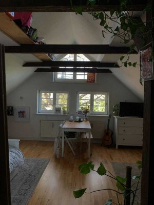 Gemütliche Dachgeschoss-Wohnung in Wilhelmsburg