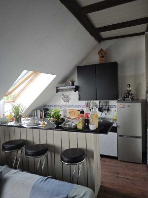 Charmantes 1-Zimmer-Apartment mit großer Dachterasse in idyllischer, ländlicher Gegend