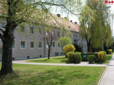 Neu sanierte Singlewohnung in Thermennähe, auf Wunsch mit Schrebergarten