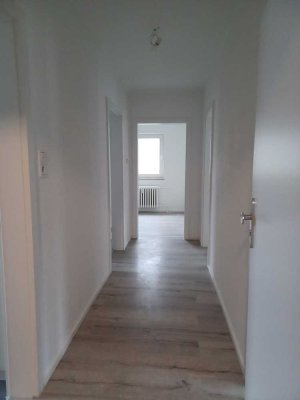 3-Zimmer-Wohnung