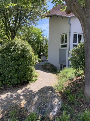 Moderne Wohnung mit Terrasse  und Einbauküche